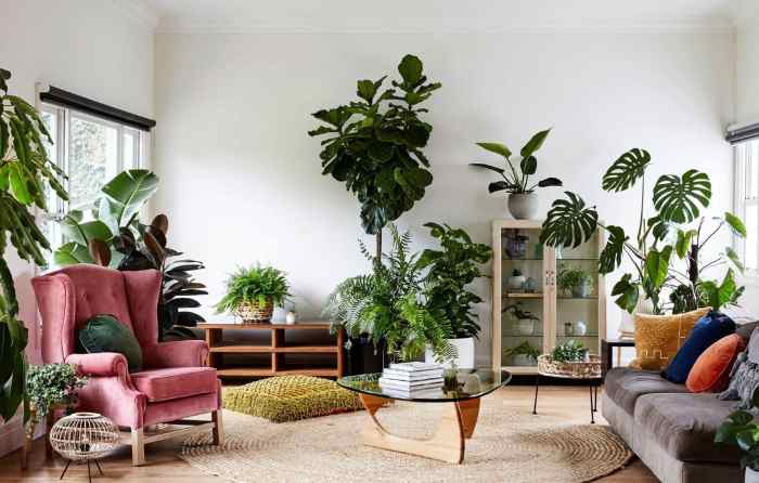 How to Decorate Your Room with Plants – A Natural Touch to Your Space