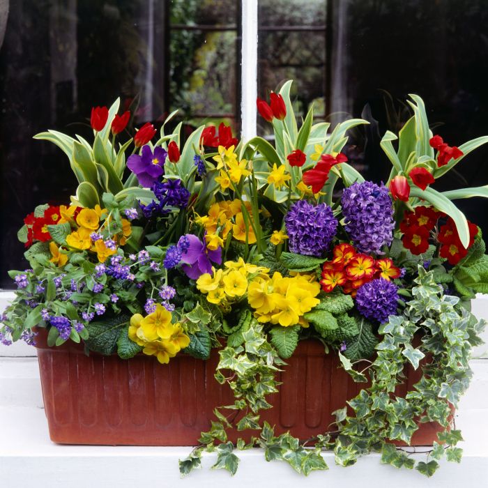 How to Decorate a Window Box Without Flowers Creative Ideas and Inspiration